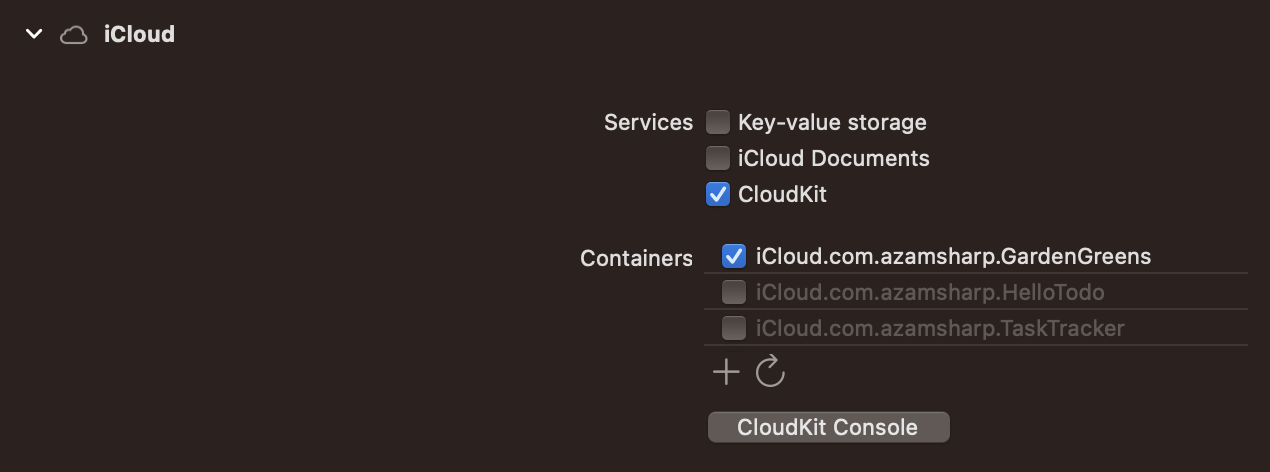 CloudKit Container